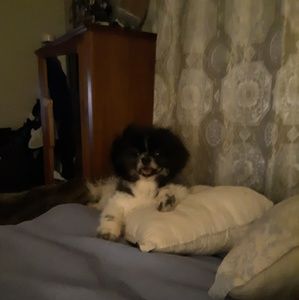 Meet your Posher, Jaclyn